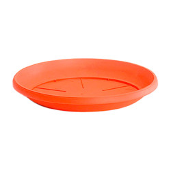 PRATO VASO NORTHON  5,0L-8002P