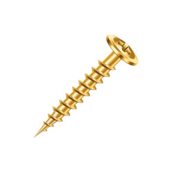 PARAF.NEW FIX CHIP FLANGE 4,0X12MM