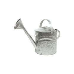 REGADOR GALVANIZADO N.10